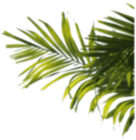 h1-image-slider-04.png